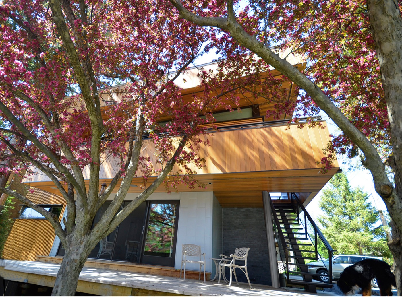 Treehouse