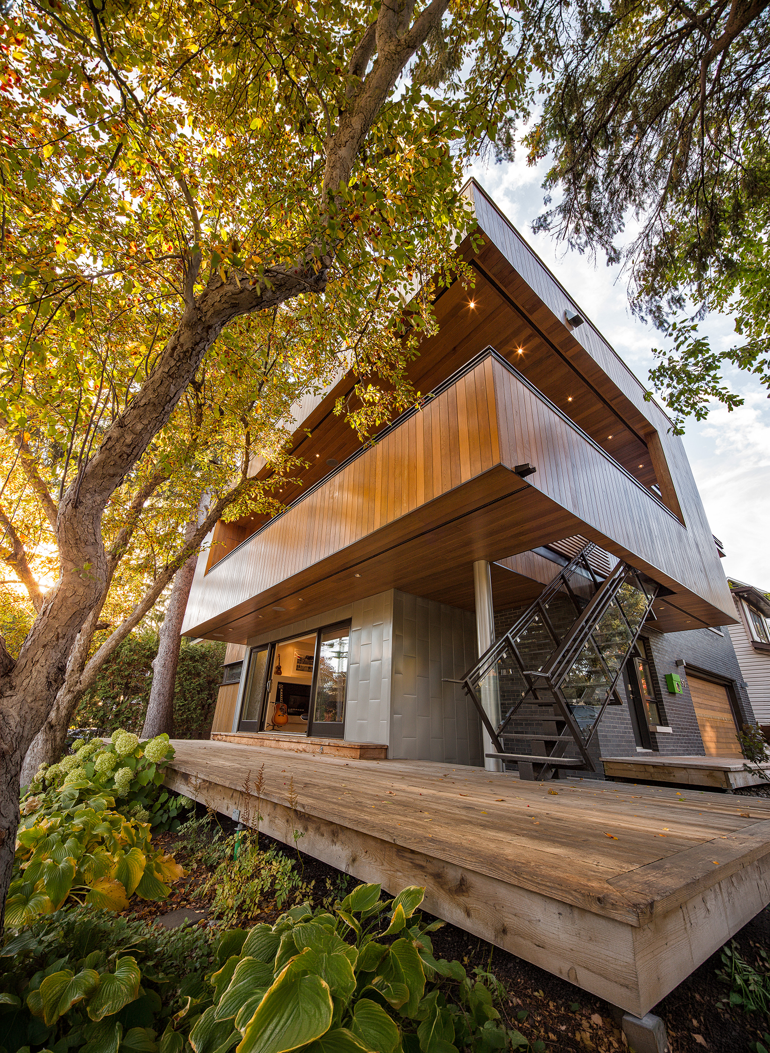 treehouse-1